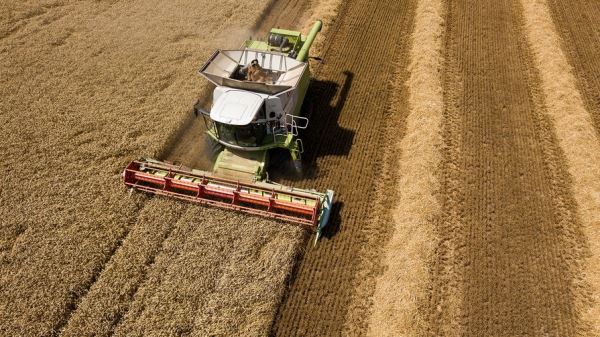 Президент Украины Зеленский допустил сокращение урожая зерна в стране вдвое в 2022 году