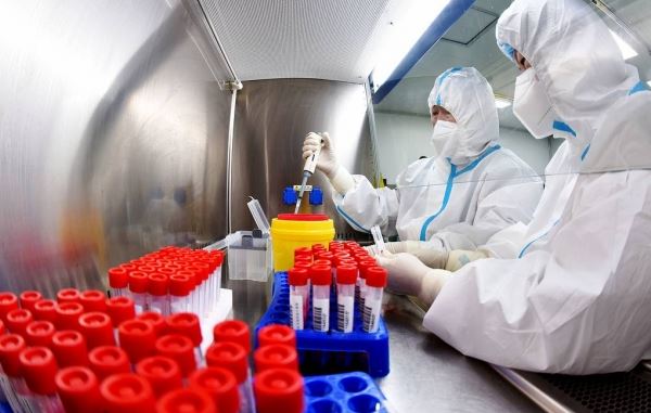В Китае по меньшей мере 35 человек заразились новым типом генипавируса