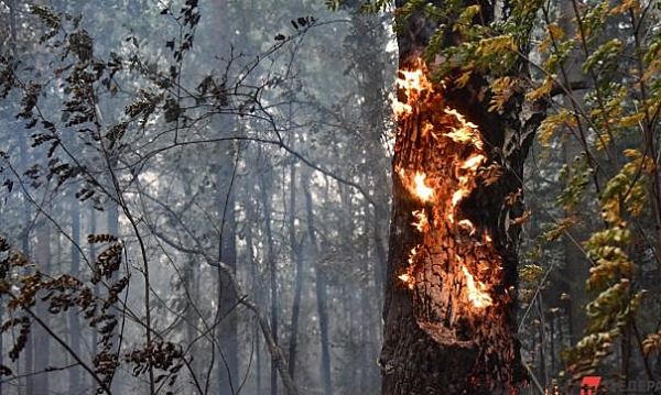 В Коми горит объект всемирного наследия ЮНЕСКО